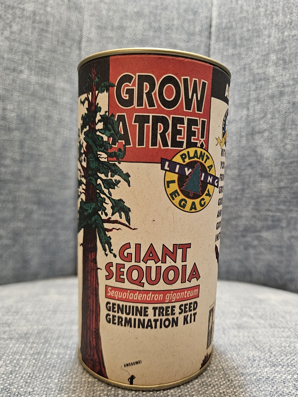 Giant Sequoia Tree Seed Kit - Red and Cream